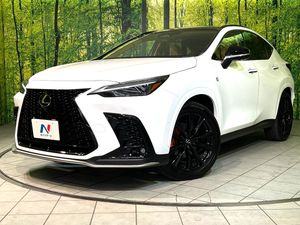 2025 Lexus NX 6AA-AAZH20