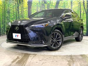2024 Lexus NX 6AA-AAZH20