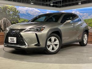 2019 Lexus UX 6AA-MZAH10