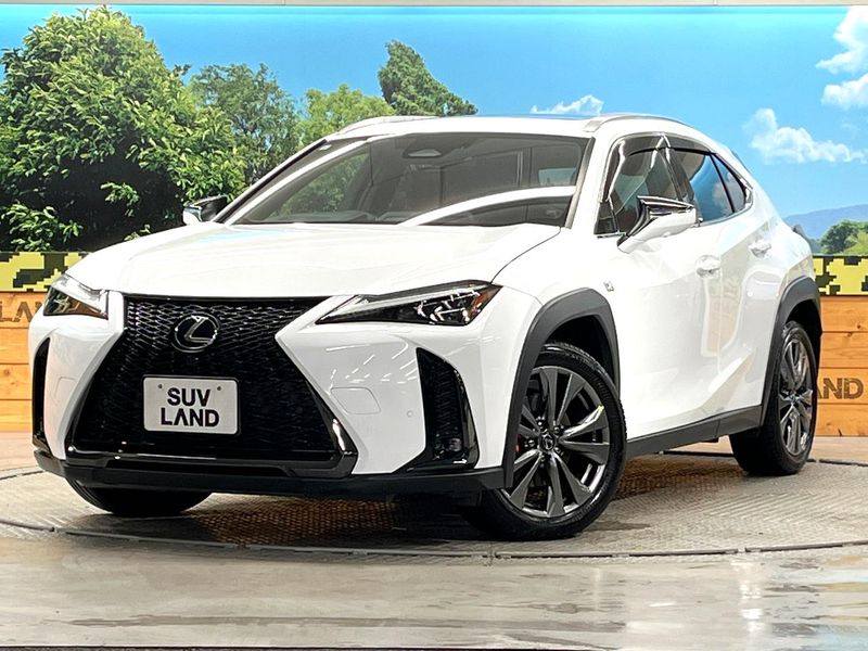 2024 Lexus UX 6AA-MZAH16 (UW-6ab88ac96df9f)[0]