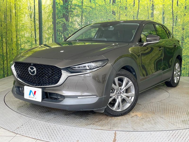 2020 Mazda CX-30 3DA-DM8P (UW-6ab9d9c80e256)[0]