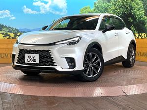 2025 Lexus LBX 6AA-MAYH10