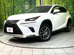 2020 Lexus NX DAA-AYZ10