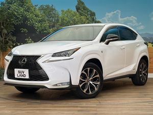 2015 Lexus NX DAA-AYZ15