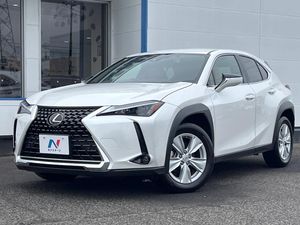 2023 Lexus UX 6AA-MZAH10