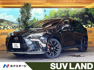 2023 Lexus NX 6AA-AAZH20
