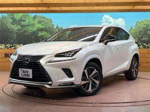 2021 Lexus NX 3BA-AGZ15