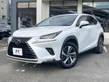 2018 Lexus NX DAA-AYZ10