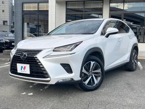 2018 Lexus NX DAA-AYZ10