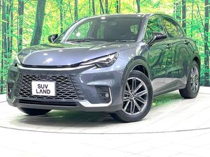 2024 Lexus LBX 6AA-MAYH15