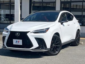2022 Lexus NX 6AA-AAZH20