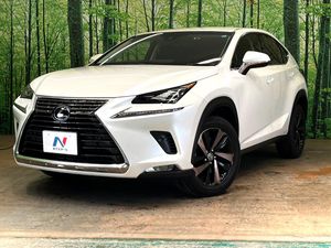 2019 Lexus NX DBA-AGZ10