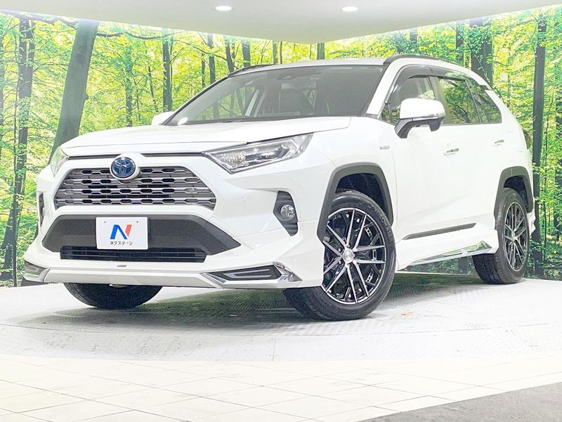 2019 Toyota RAV4 6AA-AXAH54 (UW-muorxxnevdvr)[0]