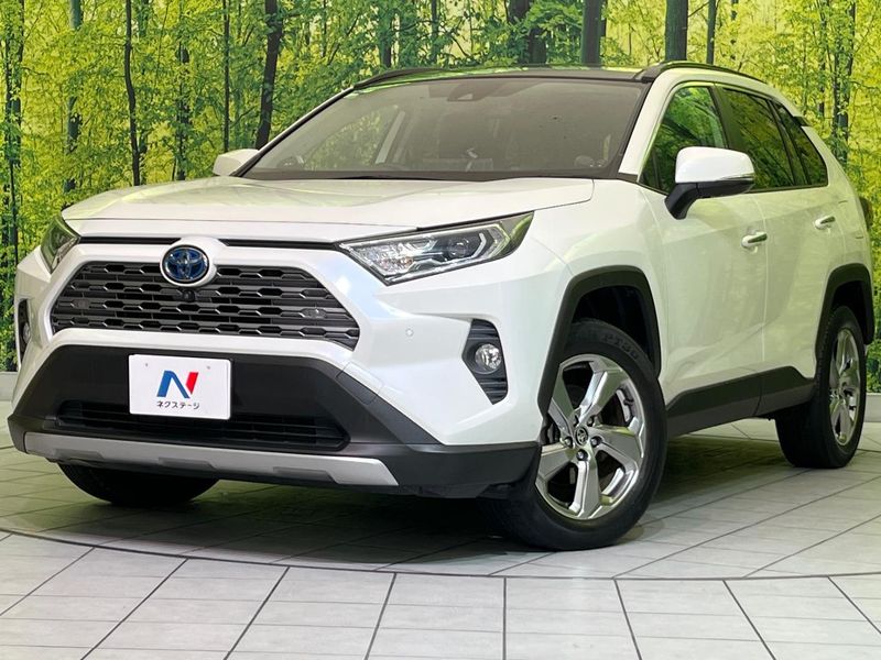 2020 Toyota RAV4 6AA-AXAH54 (UW-muorxyrcarb2)[0]