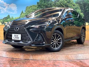 2023 Lexus NX 6AA-AAZH20