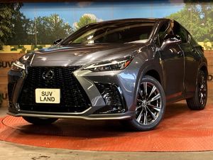 2023 Lexus NX 6AA-AAZH20