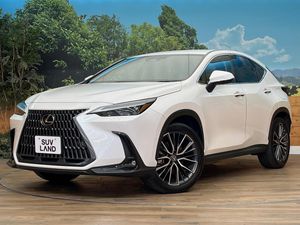 2023 Lexus NX 6AA-AAZH25