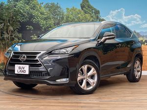 2015 Lexus NX DAA-AYZ15