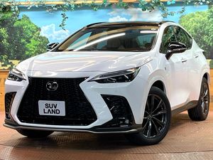 2024 Lexus NX 6AA-AAZH20