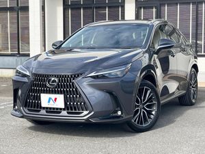 2025 Lexus NX 6AA-AAZH20
