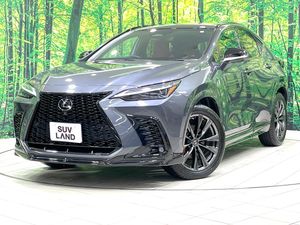 2022 Lexus NX 6AA-AAZH20