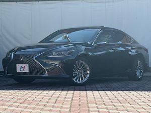 2019 Lexus ES 6AA-AXZH10