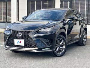 2019 Lexus NX DAA-AYZ10