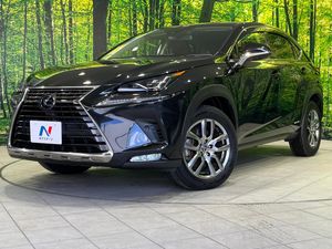 2019 Lexus NX DAA-AYZ15