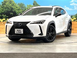 2020 Lexus UX 6AA-MZAH10