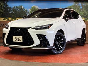 2025 Lexus NX 6AA-AAZH20