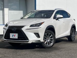 2019 Lexus NX DBA-AGZ10
