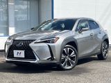 2019 Lexus UX 6AA-MZAH10