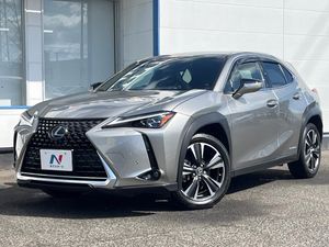 2019 Lexus UX 6AA-MZAH10