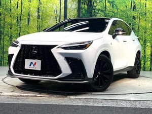2024 Lexus NX 6AA-AAZH20