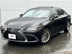 2023 Lexus ES 6AA-AXZH11
