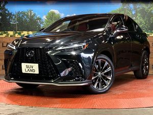 2024 Lexus NX 6AA-AAZH20