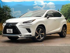2020 Lexus NX 3BA-AGZ10