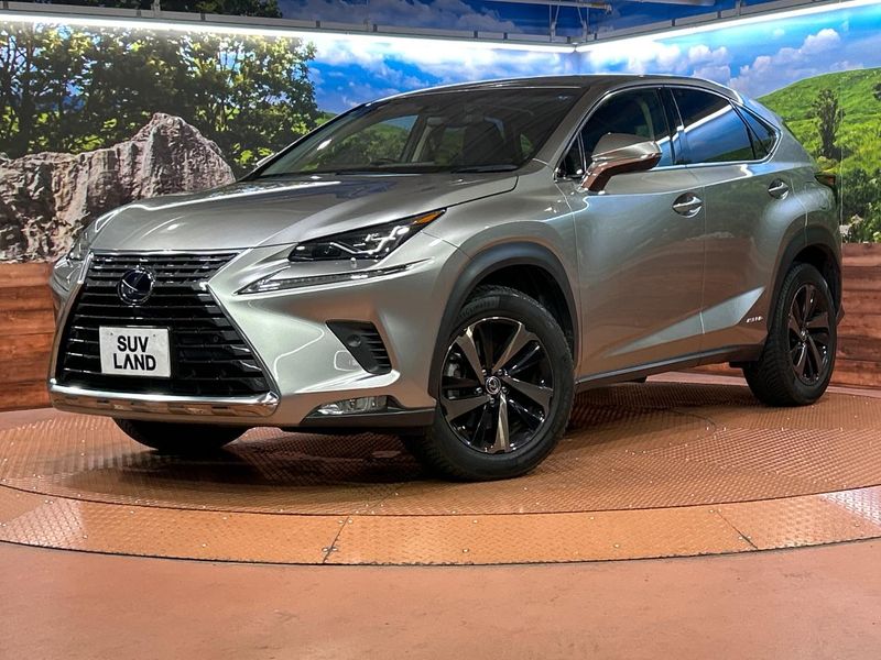 2019 Lexus NX DAA-AYZ10 (UW-muvvxzqa1qx0)[0]