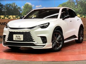 2024 Lexus LBX 6AA-MAYH10