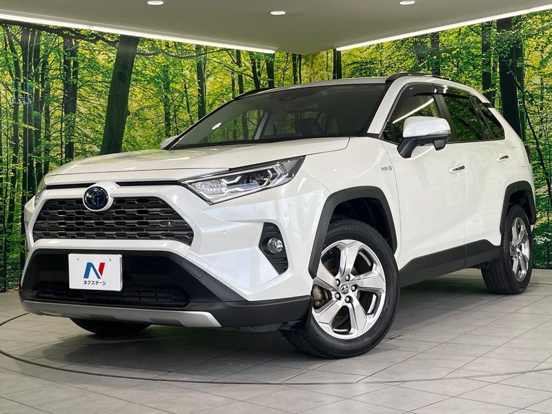 2019 Toyota RAV4 6AA-AXAH54 (UW-muxbc0j7plvz)[0]