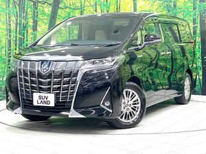 2019 Toyota Alphard Hybrid DAA-AYH30W
