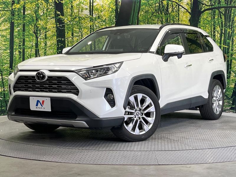 2019 Toyota RAV4 6BA-MXAA54 (UW-muxbub3dgws6)[0]