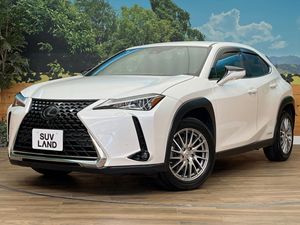 2020 Lexus UX 6AA-MZAH15