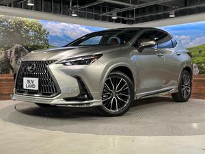2025 Lexus NX 6AA-AAZH20