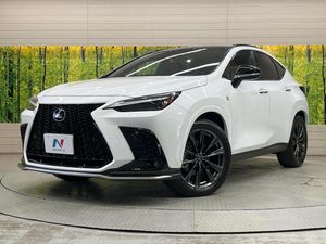 2022 Lexus NX 6AA-AAZH25