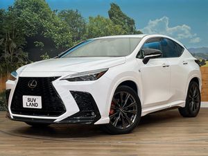 2023 Lexus NX 6LA-AAZH26
