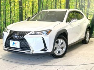 2019 Lexus UX 6AA-MZAH10