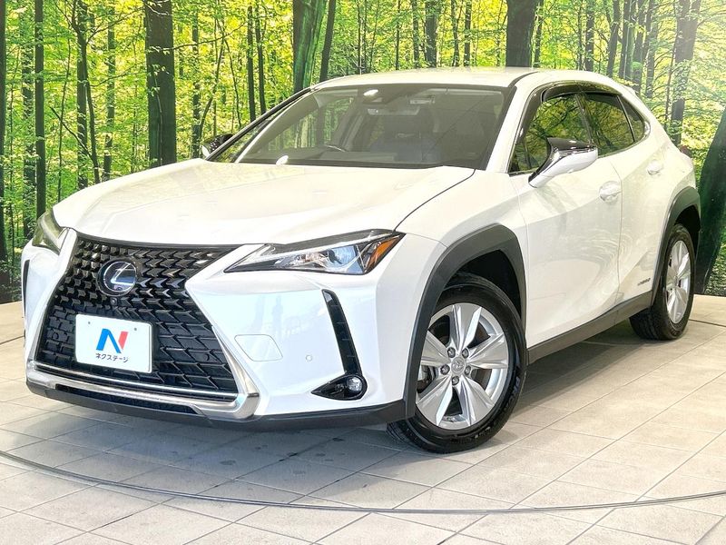 2019 Lexus UX 6AA-MZAH10 (UW-muyqwug1tjg4)[0]