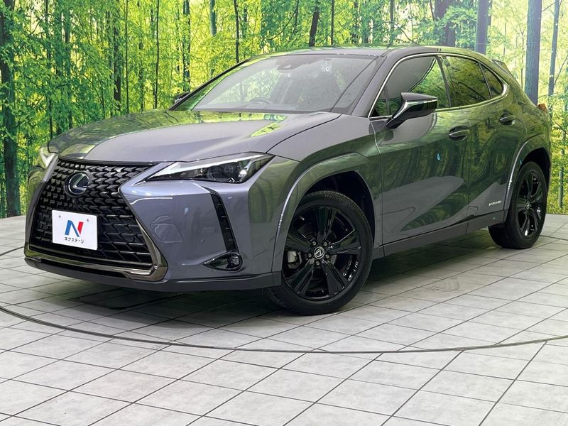 2022 Lexus UX 6AA-MZAH10 (UW-muyqwwv8n93g)[0]