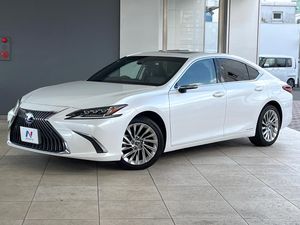 2020 Lexus ES 6AA-AXZH10